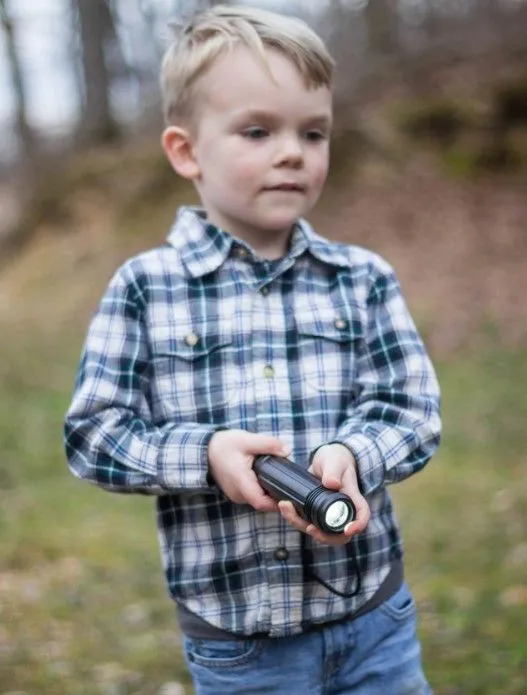 FLASHLIGHT / AREA LIGHT - CREE